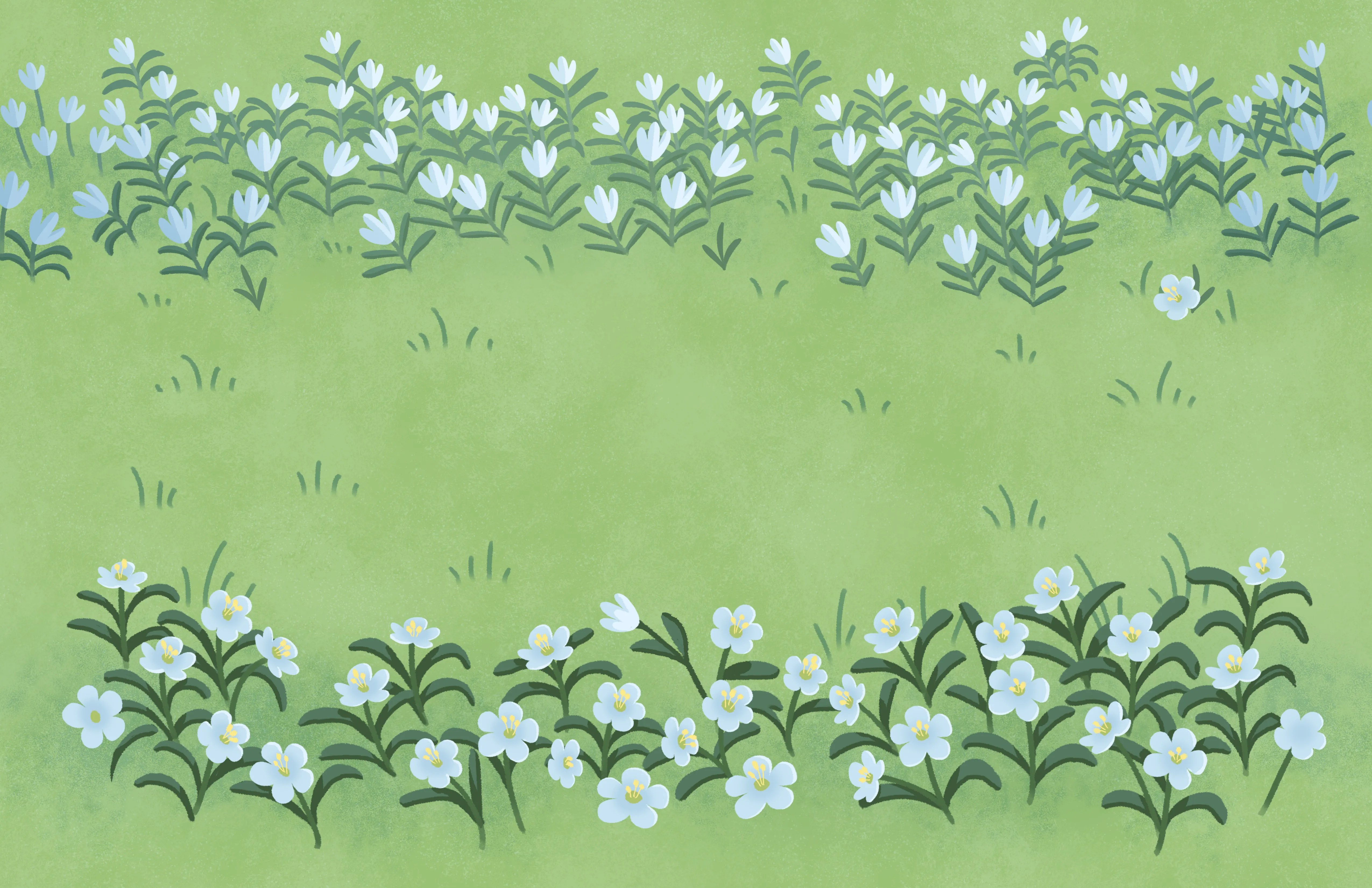 grass and flowers background